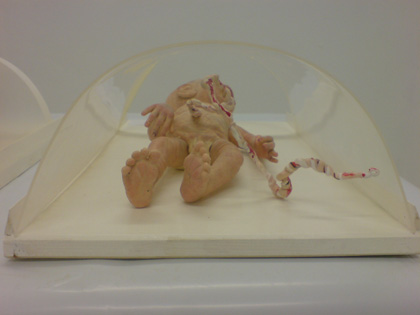 Studienarbeit-Kunst-Schreiner-4